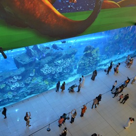 У аквариума Дубай-Молл