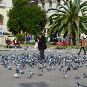 Голуби на площади Аристотеля - Салоники, Греция