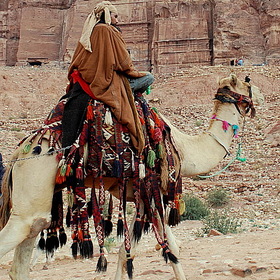 Бедуин из Петры