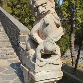 Дракон в смущении  - Пэнлай, Китай
